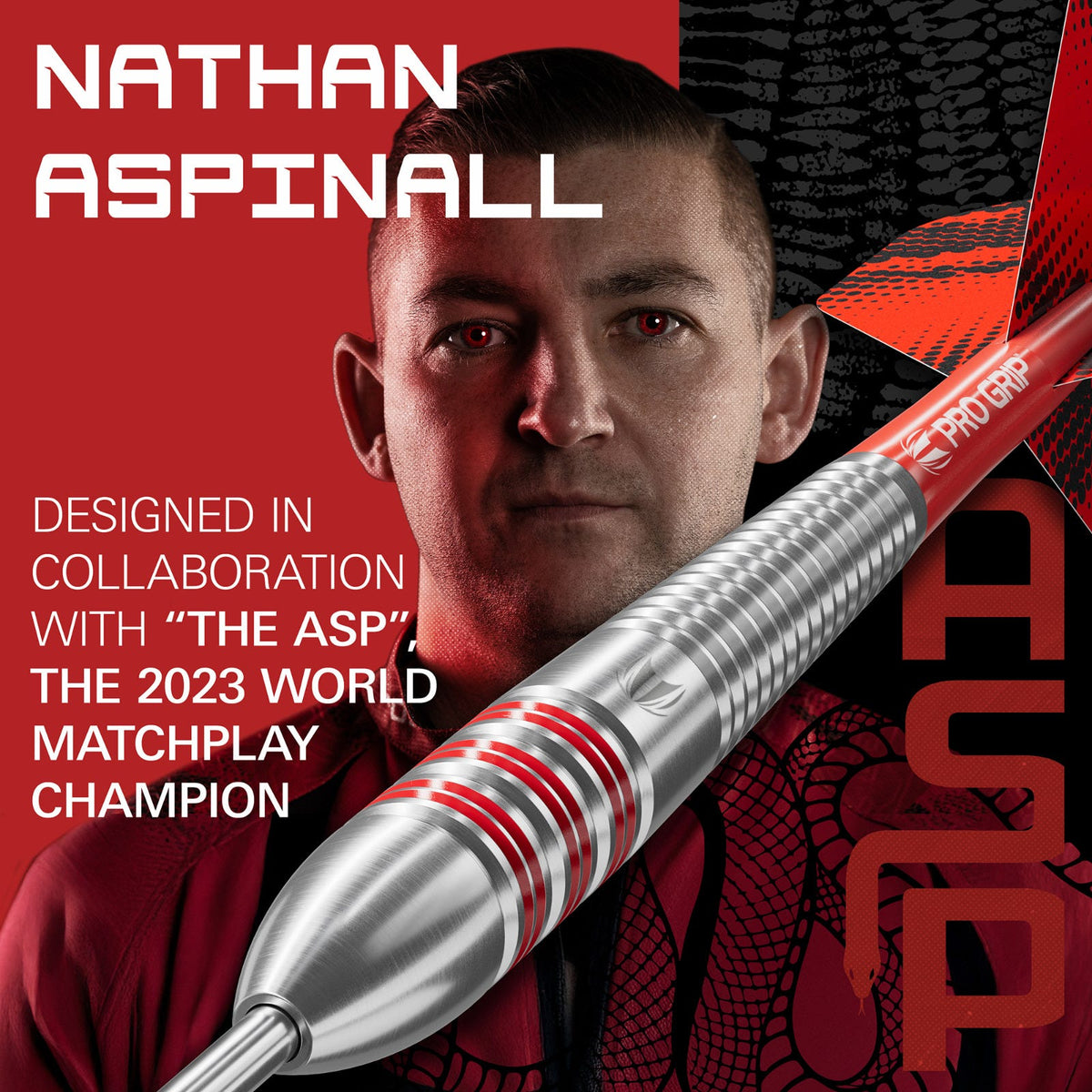 Target Nathan Aspinall Brass Steel Tip Darts - 2