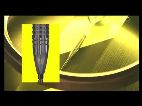 Target Scott Williams Black 90% Steel Tip Darts - 2